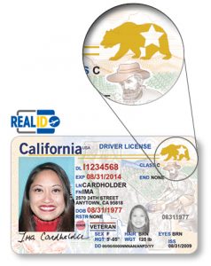 california driver license sample